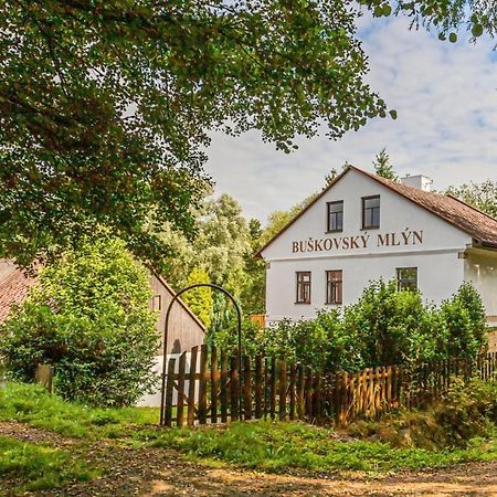Отель Buskovsky Mlyn 1580 Dolni Bousov Экстерьер фото