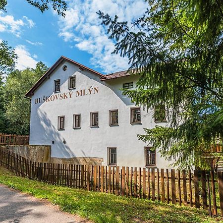 Отель Buskovsky Mlyn 1580 Dolni Bousov Экстерьер фото