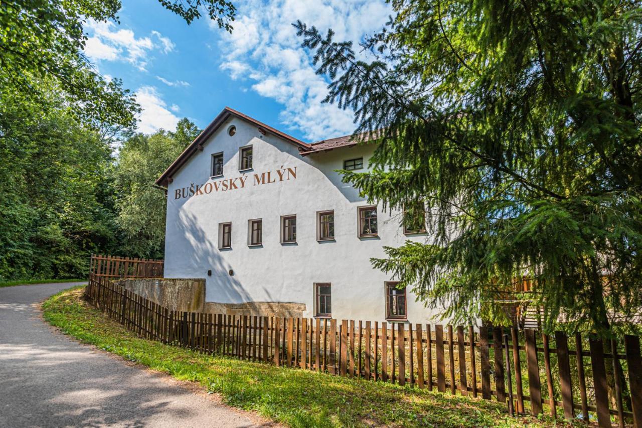 Отель Buskovsky Mlyn 1580 Dolni Bousov Экстерьер фото