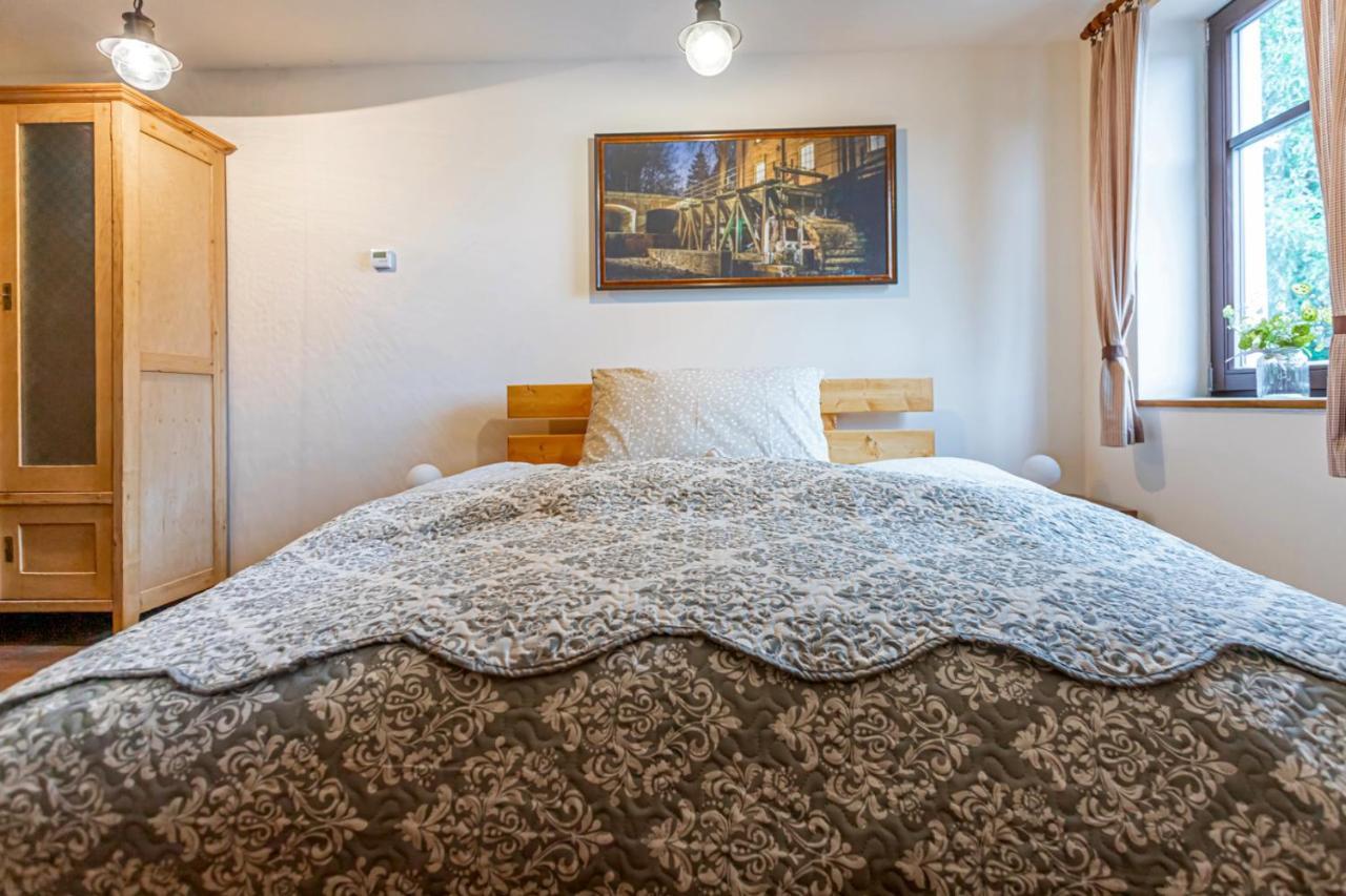 Отель Buskovsky Mlyn 1580 Dolni Bousov Экстерьер фото